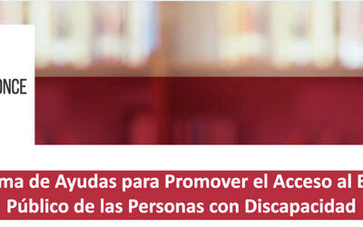 III edición del Programa de Ayudas para Promover el Acceso al Empleo Público de las Personas con Discapacidad